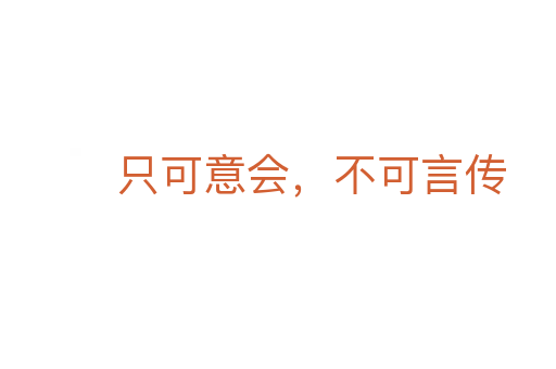 只可意会，不可言传