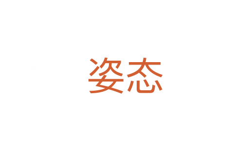 姿态