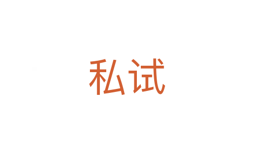 私试