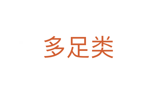 多足类