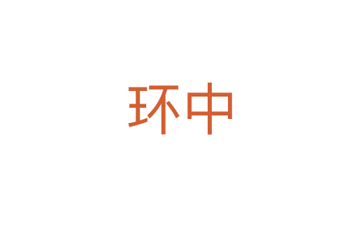 环中