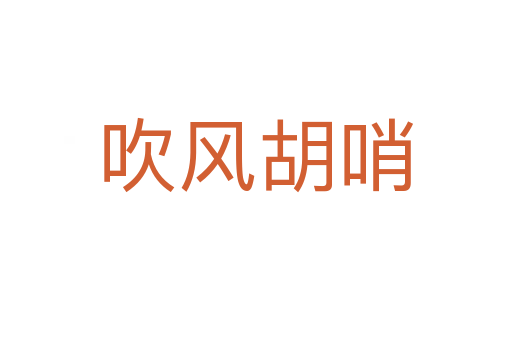 吹风胡哨