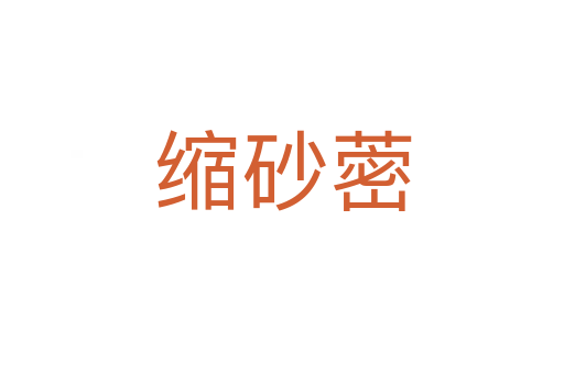 缩砂蔤