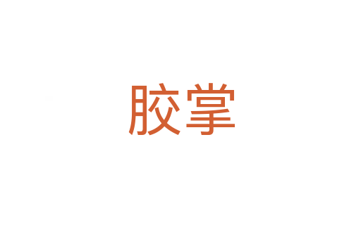 胶掌