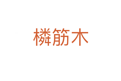 橉筋木