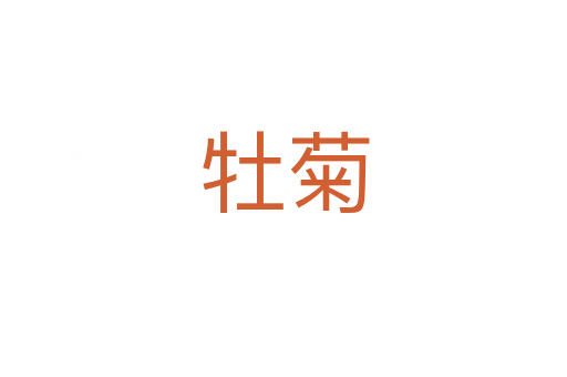 牡菊
