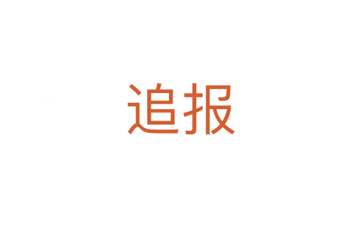 追报