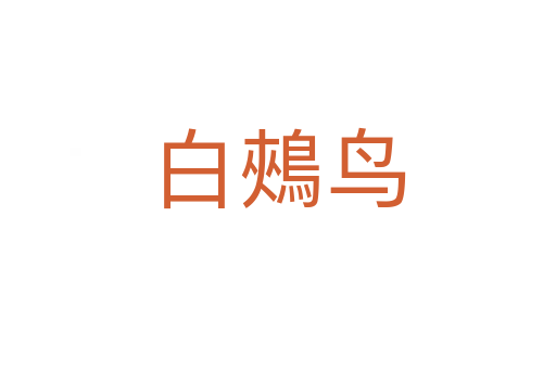 白鵊鸟