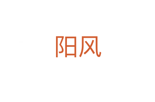 阳风
