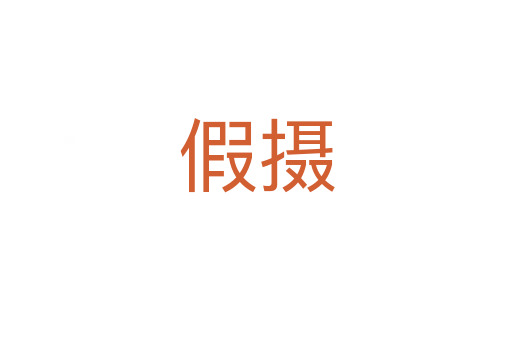假摄