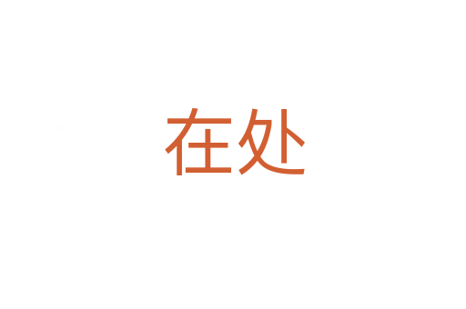 在处